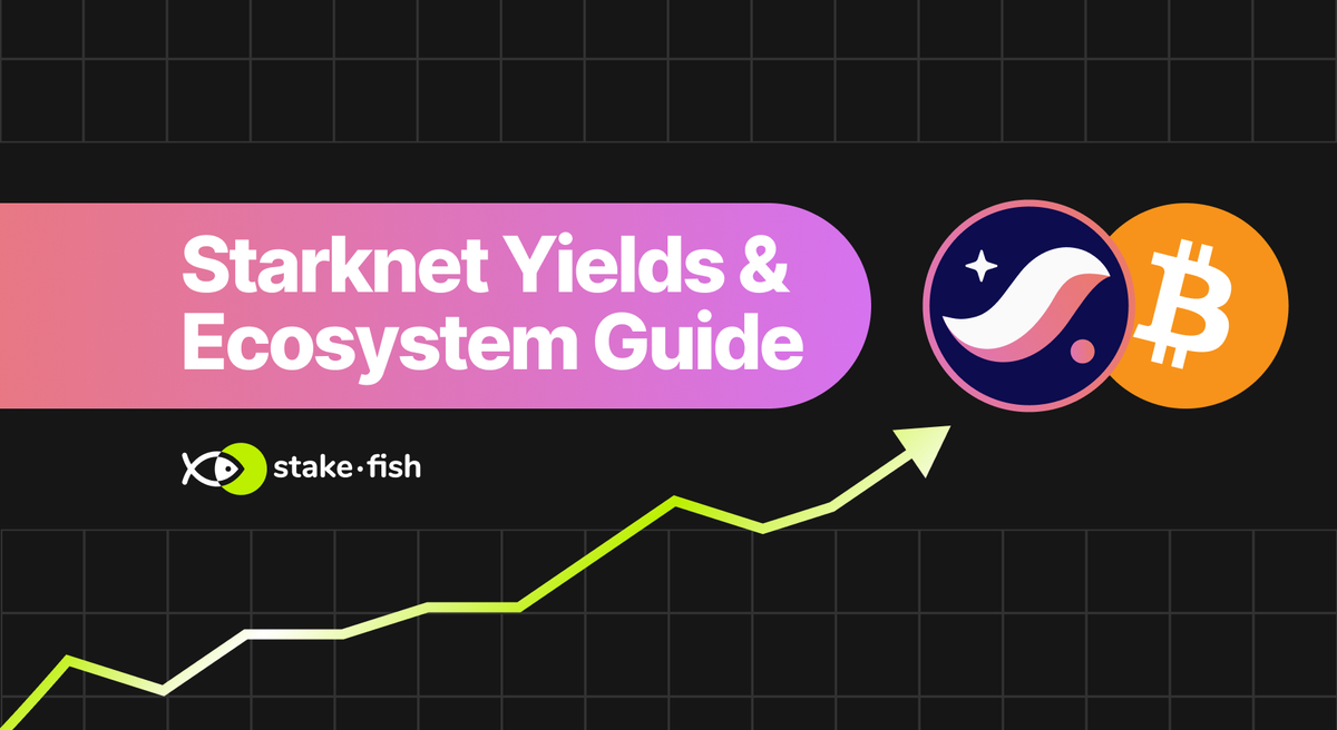 Everything Starknet: A Complete Ecosystem Overview